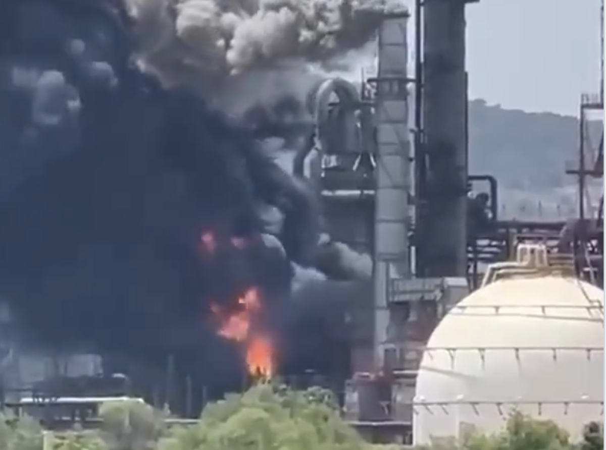 Morena Flota Entre La Caca